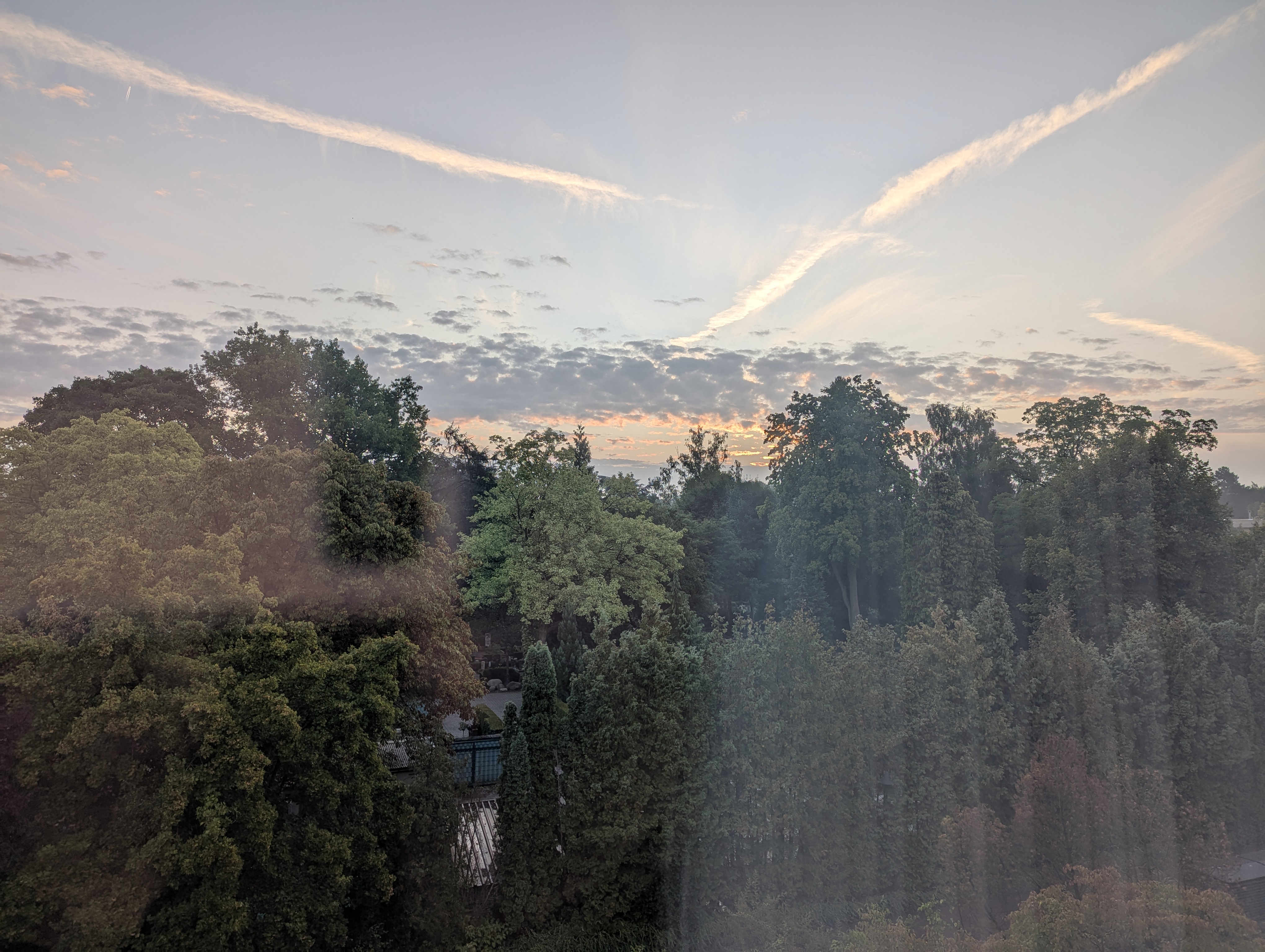 train, Muenster, Koln, Germany